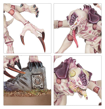 Combat patrol : Tyranid assault brood (73-511)