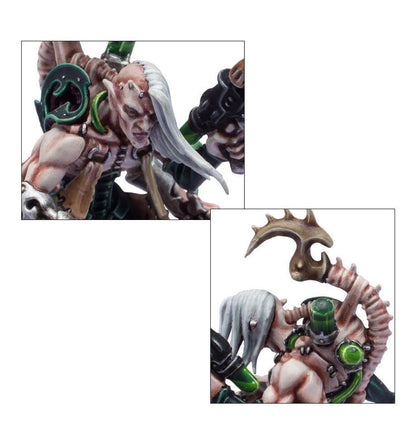 Combat patrol : Drukhari (73-452)